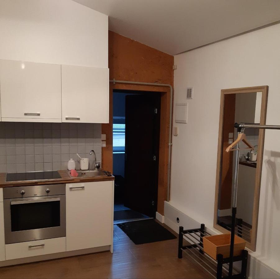 Studio In Kaunas City 外观 照片